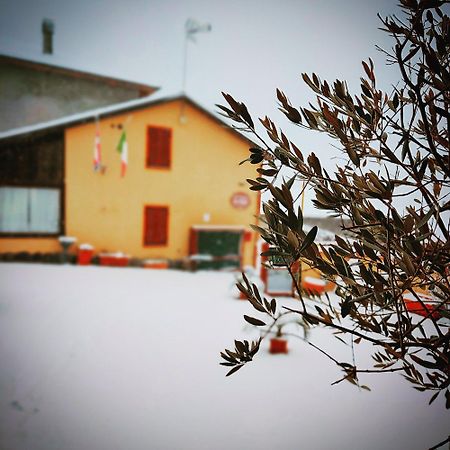 La Valle B&B Asti Kültér fotó