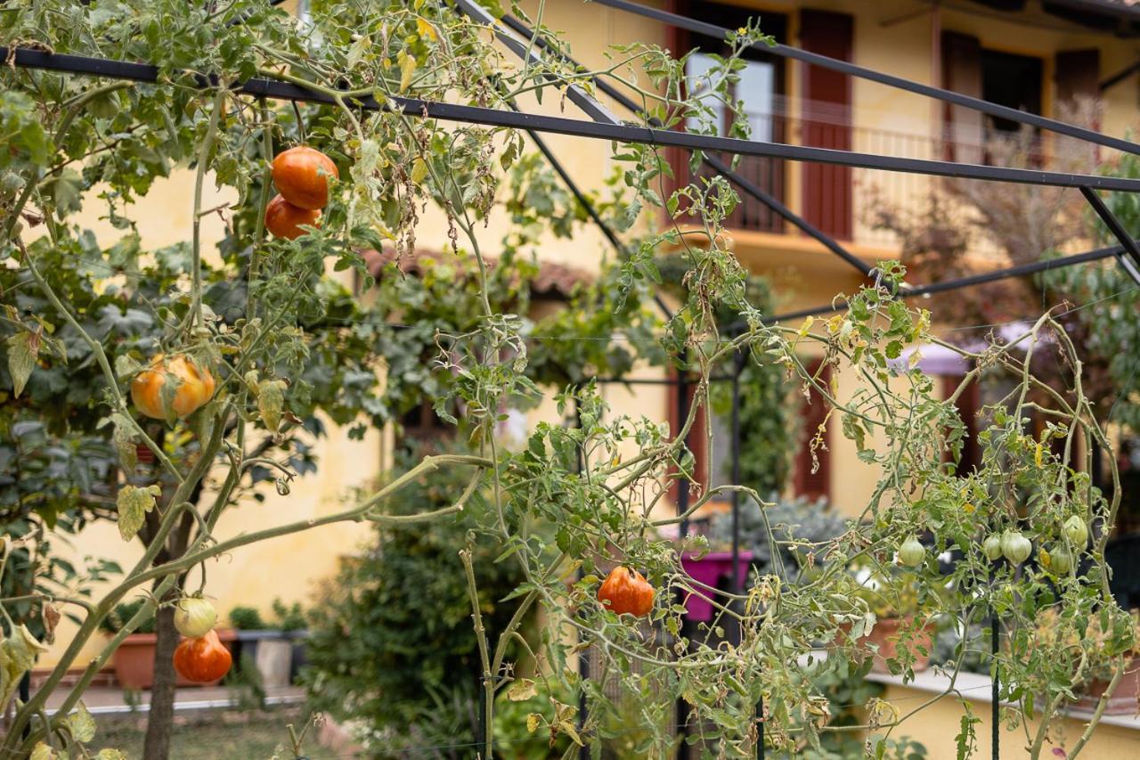 La Valle B&B Asti Kültér fotó