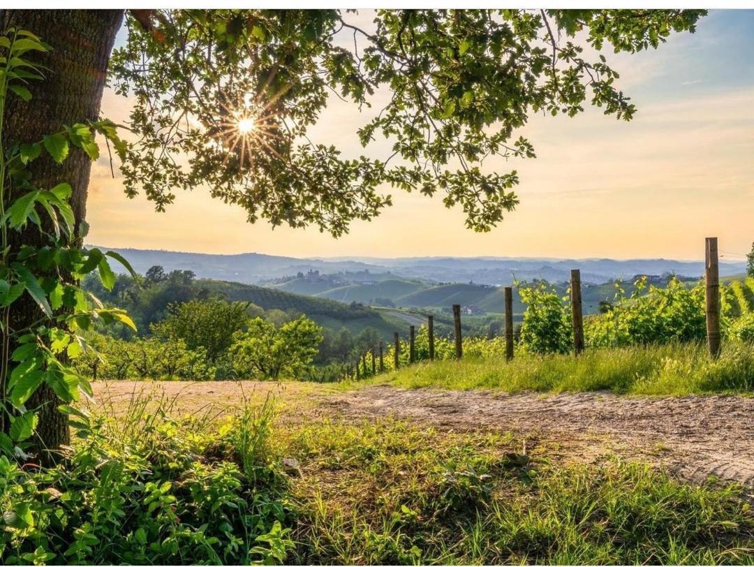 La Valle B&B Asti Kültér fotó