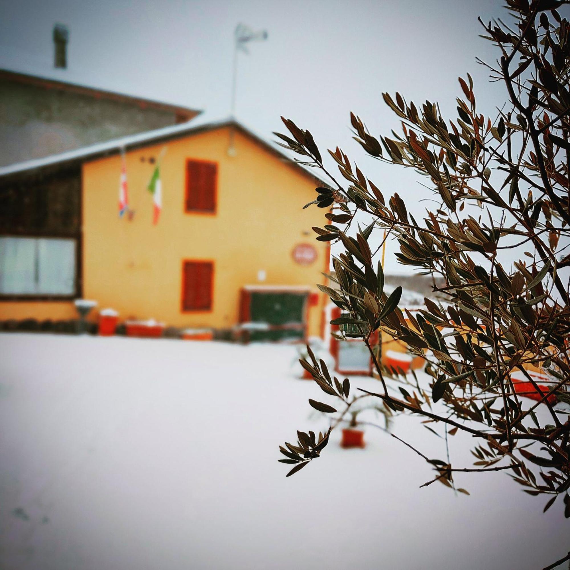 La Valle B&B Asti Kültér fotó